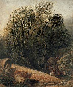 Un champ de blé bordé d